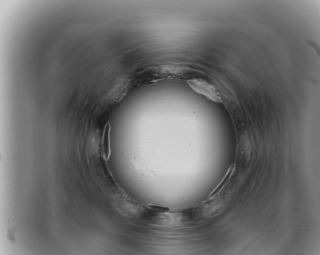 X0000096200328200801181037