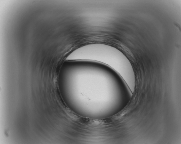 X0000096200329200801181037