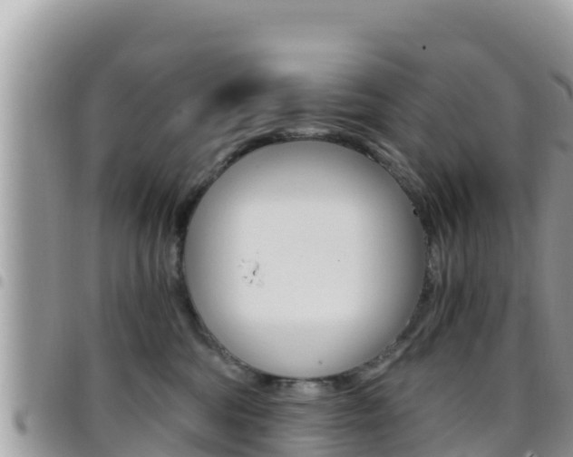 X0000096200330200801181037