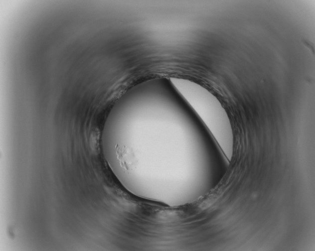 X0000096200332200801181037
