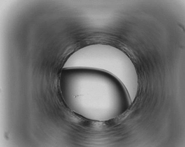 X0000096200333200801181037