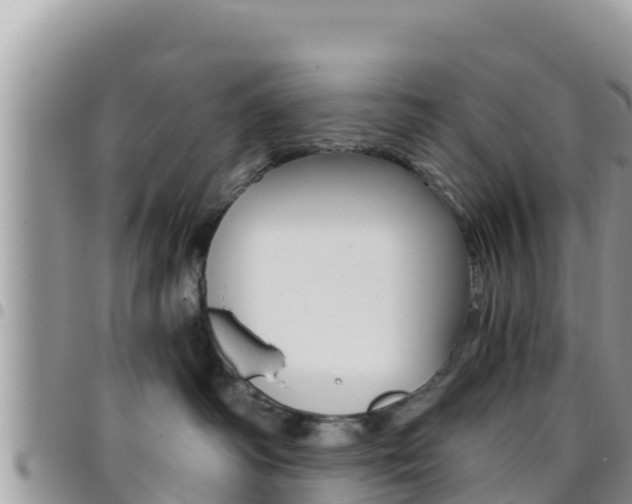 X0000096200334200801181037