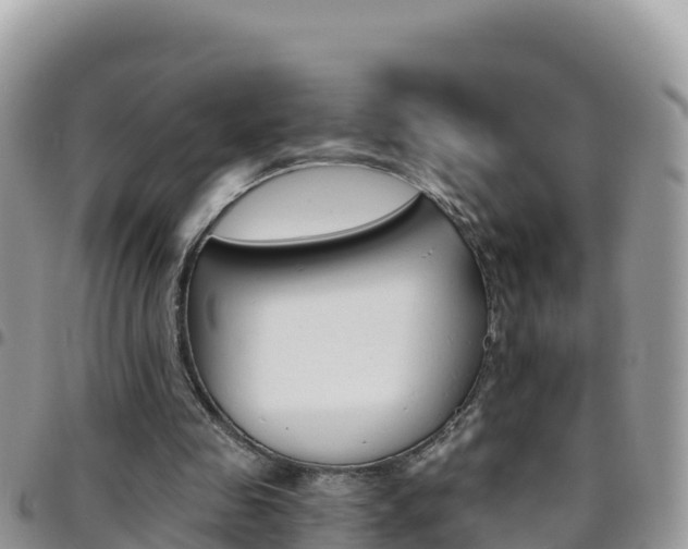 X0000096200341200801181036