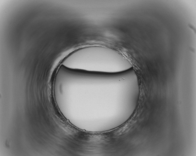 X0000096200342200801181036