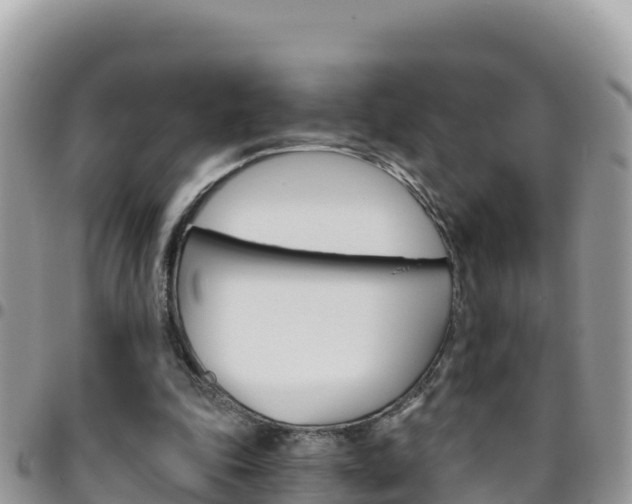 X0000096200343200801181036