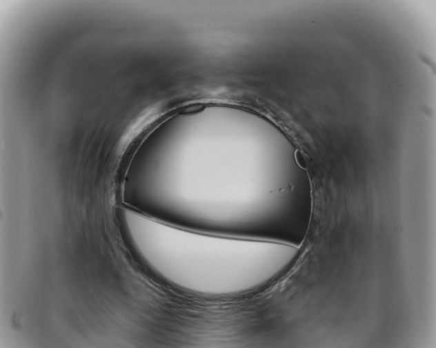X0000096200344200801181036