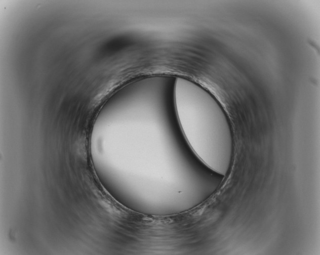 X0000096200345200801181036