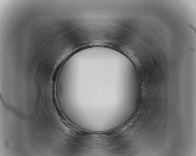 X0000096200346200801181036