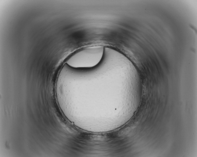 X0000096200347200801181036