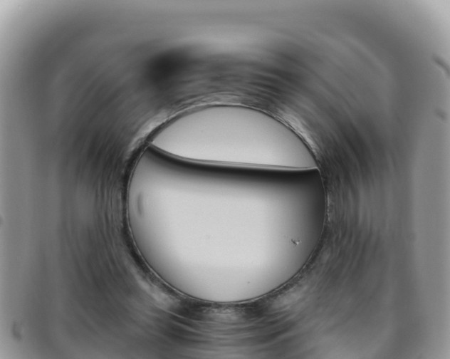X0000096200349200801181036