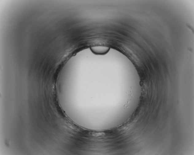 X0000096200355200801181036