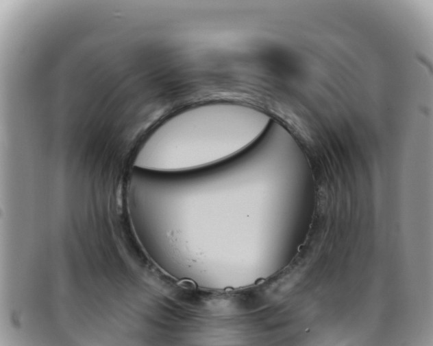 X0000096200358200801181036