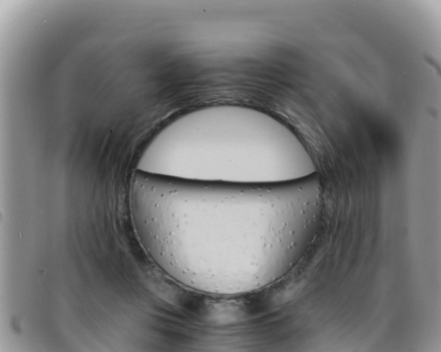 X0000096200359200801181036