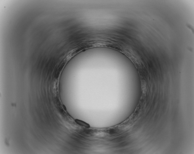 X0000096200360200801181036