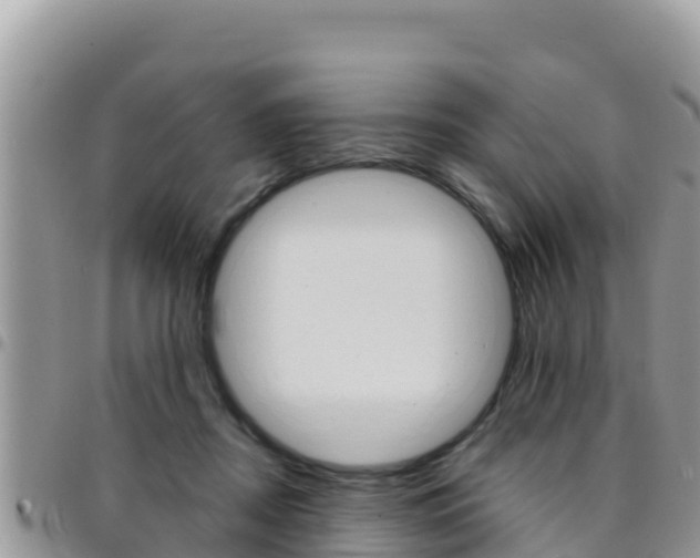 X0000096200362200801181036