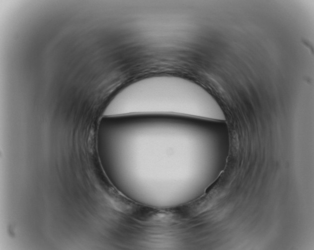 X0000096200364200801181036