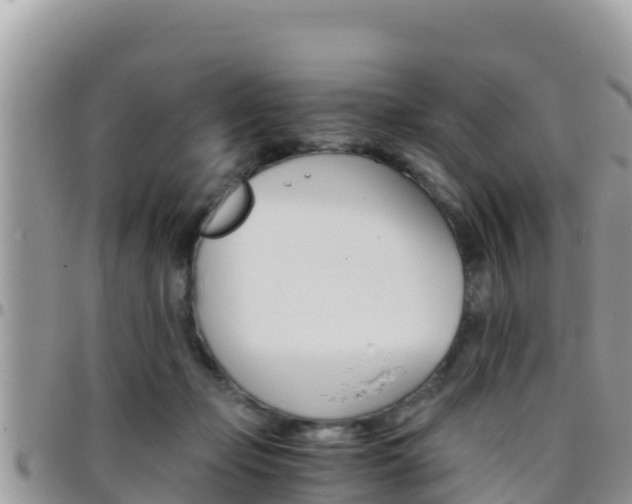X0000096200365200801181036