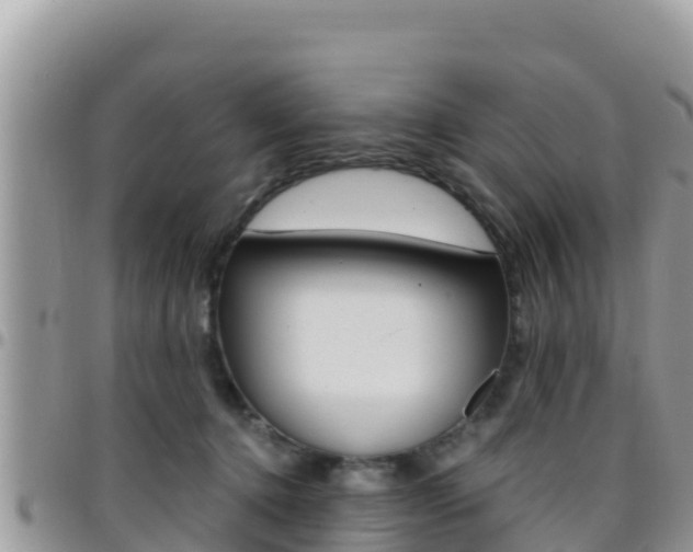 X0000096200368200801181036