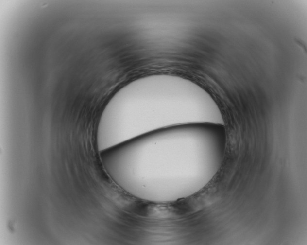 X0000096200372200801181036