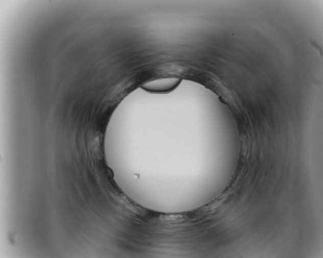 X0000096200378200801181036