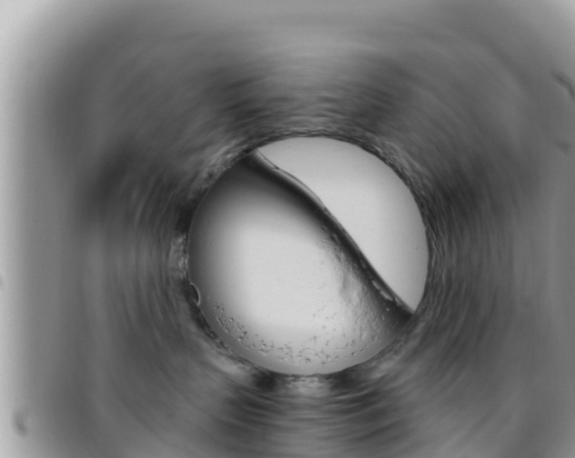 X0000096200383200801181037