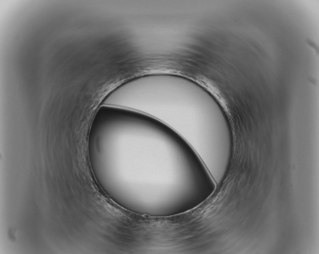 X0000096200385200801181036