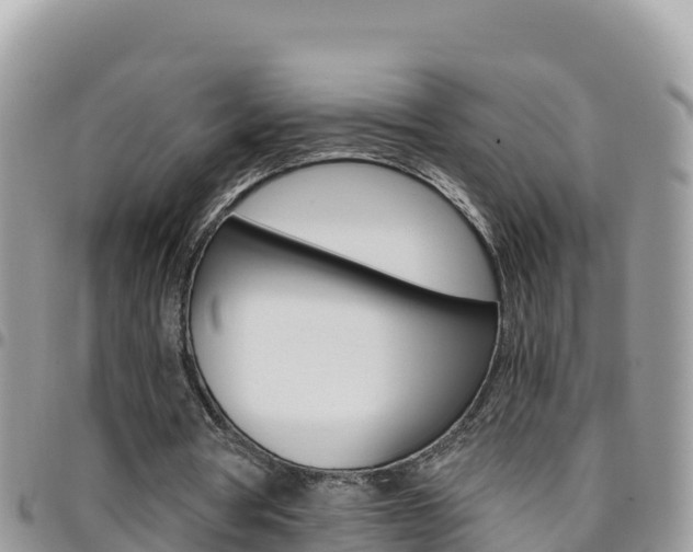 X0000096200386200801181036