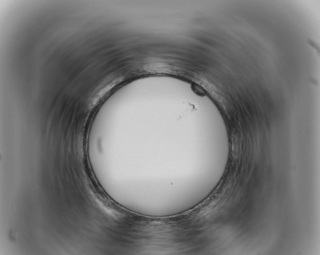 X0000096200390200801181036
