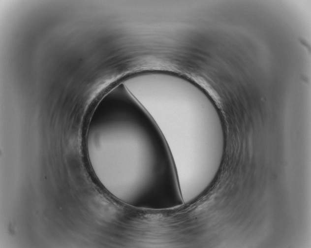 X0000096200391200801181036