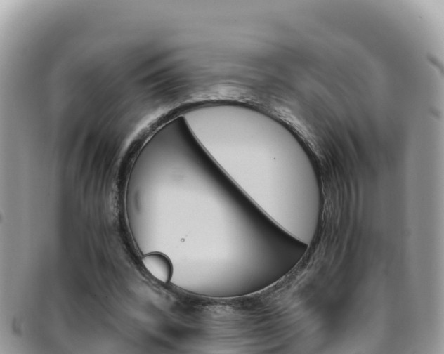 X0000096200392200801181036