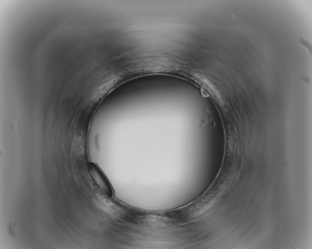 X0000096200393200801181036