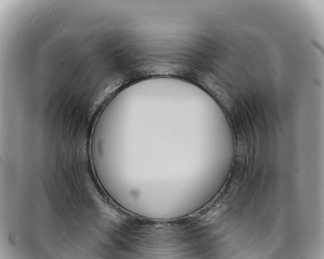 X0000096200394200801181036