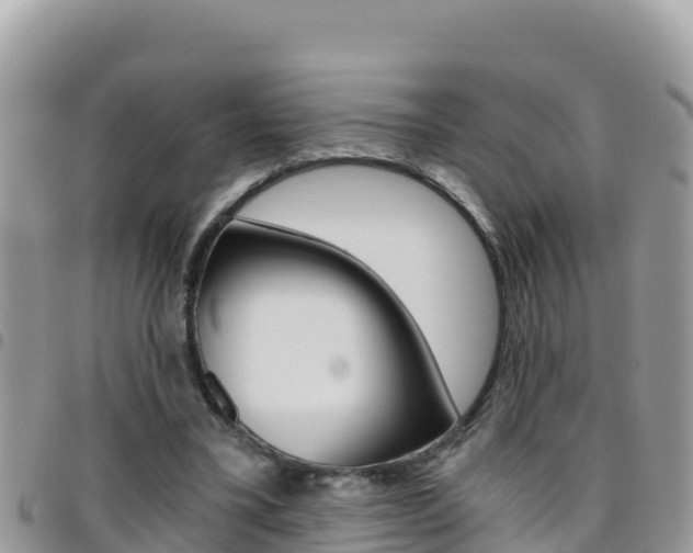 X0000096200395200801181036