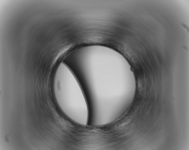 X0000096200396200801181036