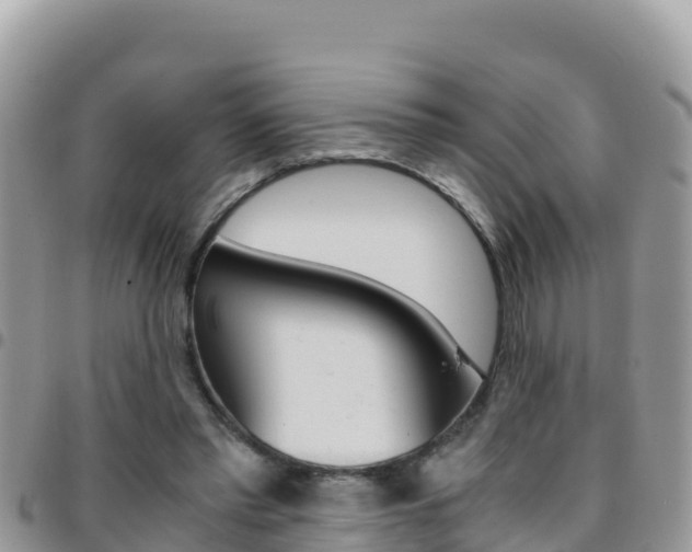 X0000096200397200801181036