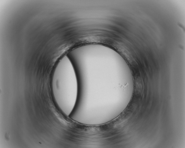 X0000096200398200801181036