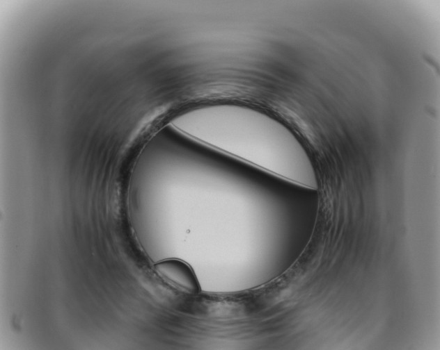 X0000096200400200801181036
