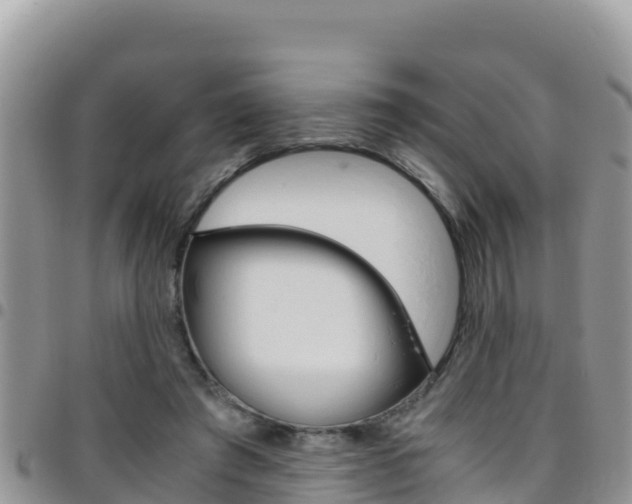 X0000096200401200801181036
