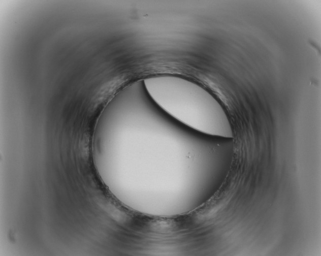X0000096200402200801181036