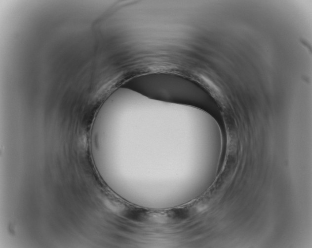 X0000096200405200801181036