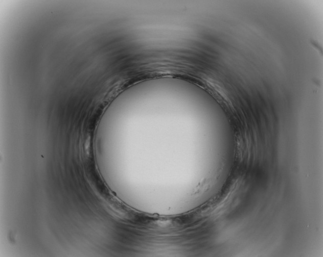 X0000096200406200801181036