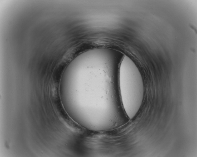 X0000096200408200801181036
