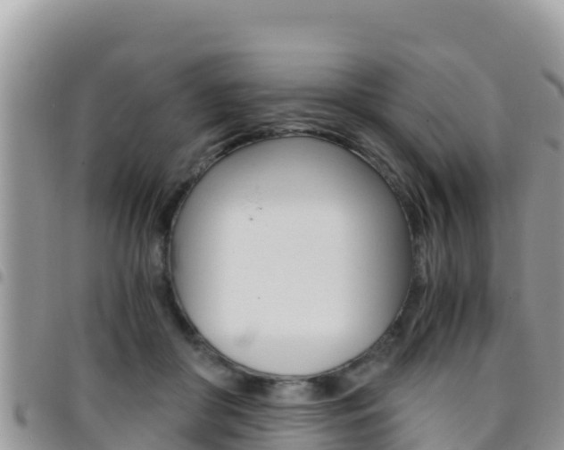 X0000096200410200801181036