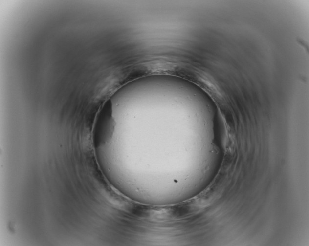 X0000096200411200801181036