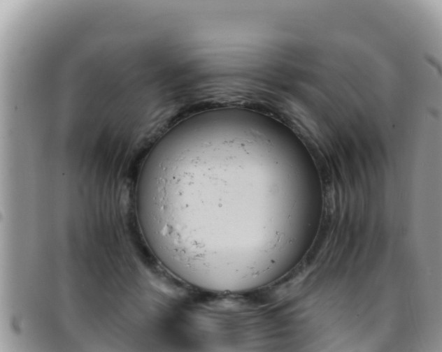 X0000096200412200801181036
