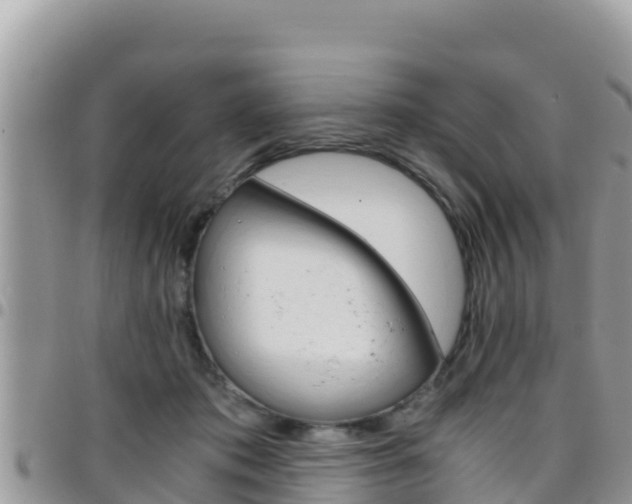 X0000096200413200801181035