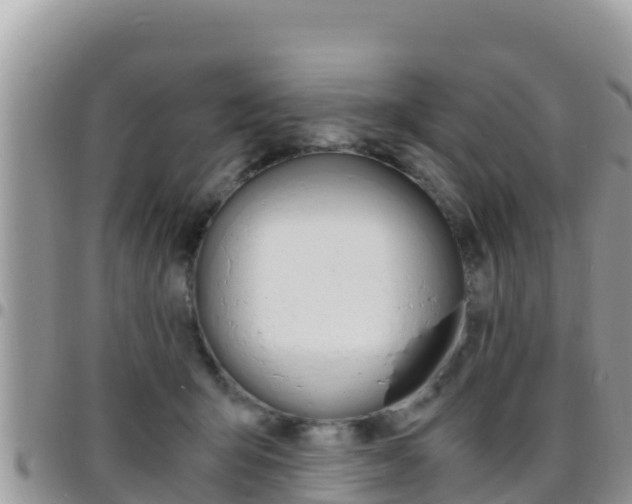 X0000096200415200801181035