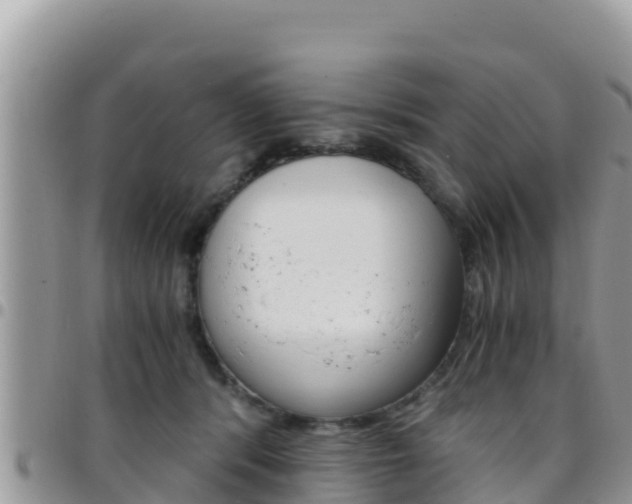 X0000096200416200801181035