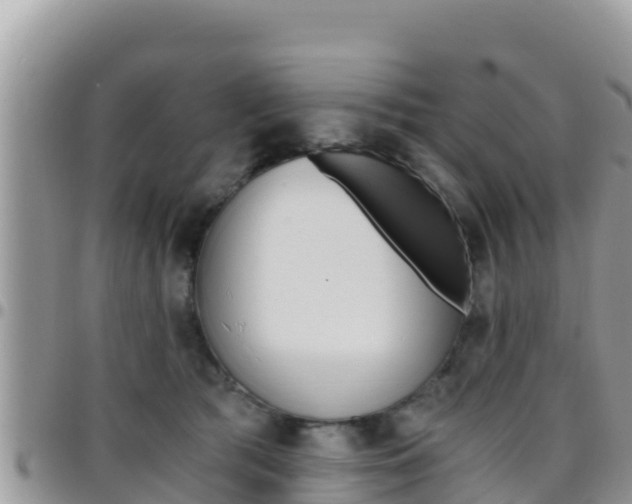 X0000096200417200801181035