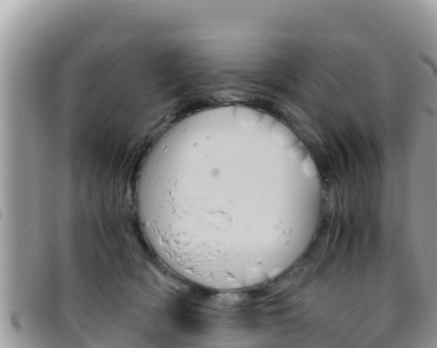 X0000096200418200801181035